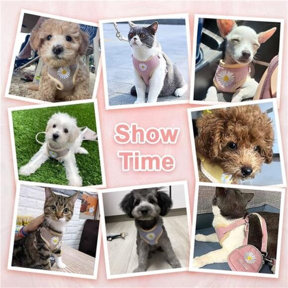 Cute Small Dog Harness and Leash Set with Bags No Pull Daisy Dog Vest Harness - Picture 5 of 8